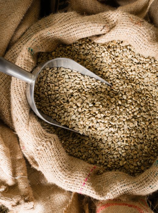 shutterstock_255323404